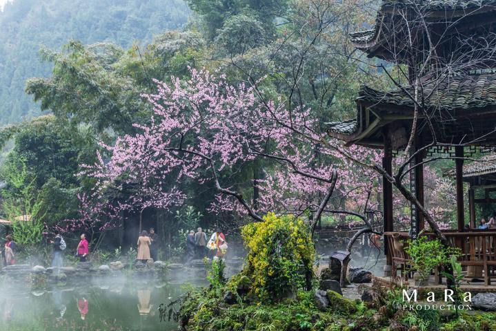 拯救精灵的土地9