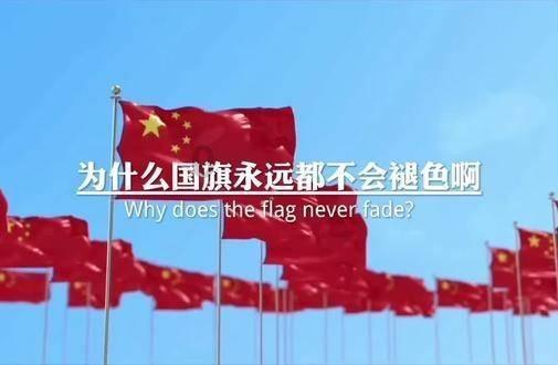 探索怀疑女友出轨了怎么办?知识星球,解锁无尽智慧